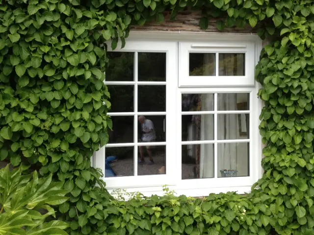ivy surrounded upvc window